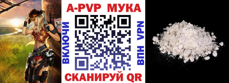 OMG tor  Отрадный  Alfa_PVP СК 