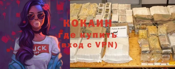 стафф Алексин