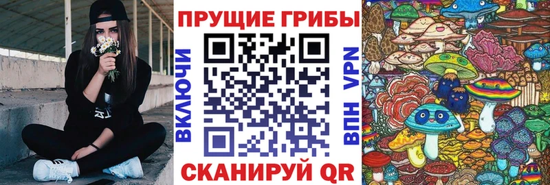 Галлюциногенные грибы прущие грибы  цены   Отрадный 