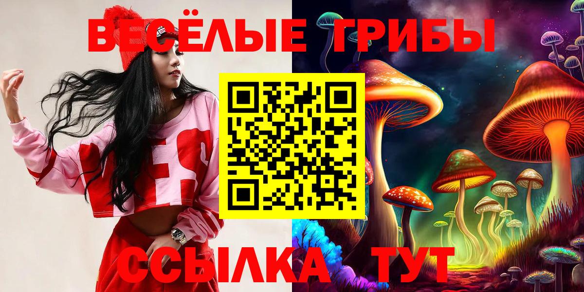 Псилоцибиновые грибы Psilocybine cubensis  Галлюциногенные грибы GOLDEN TEACHER  Вход с VPN  Отрадный 