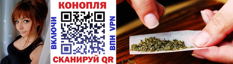 закладки  Отрадный  Бошки марихуана семена 